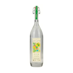 GIN AGRUMES